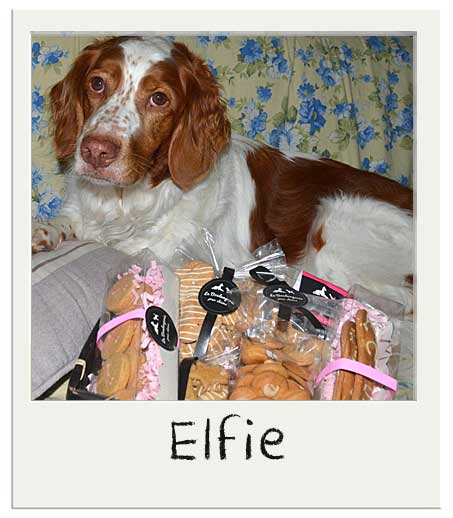 Elfie et notre Panier cadeau chiens